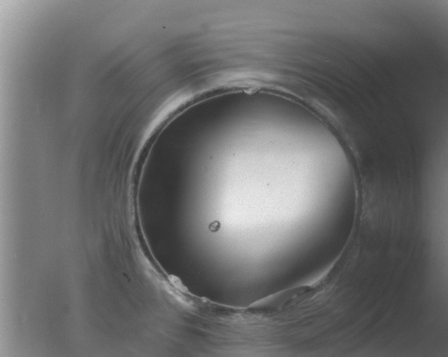 X0000077361384200610271843