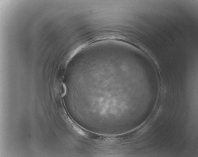 X0000077361385200610271843