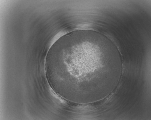 X0000077361386200610271843