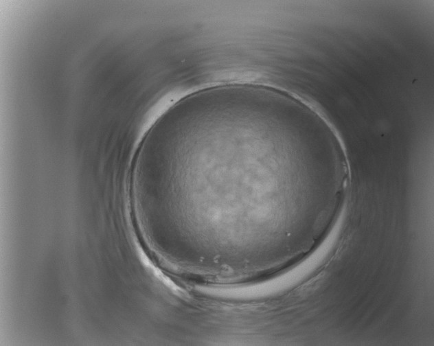 X0000077361389200610271843