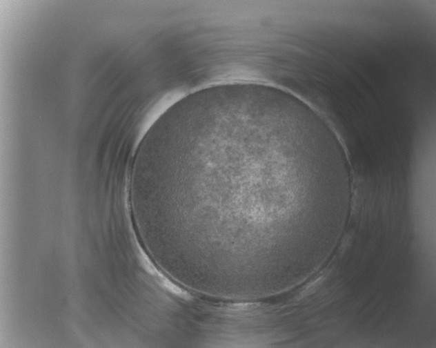 X0000077361390200610271843