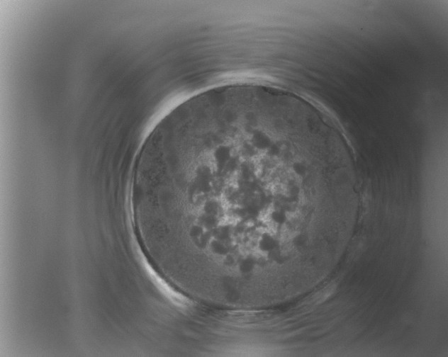 X0000077361391200610271843