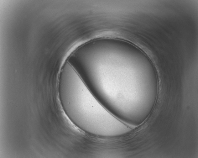 X0000077361392200610271843