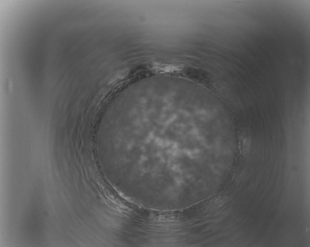 X0000077361393200610271842