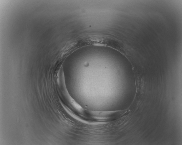 X0000077361394200610271842