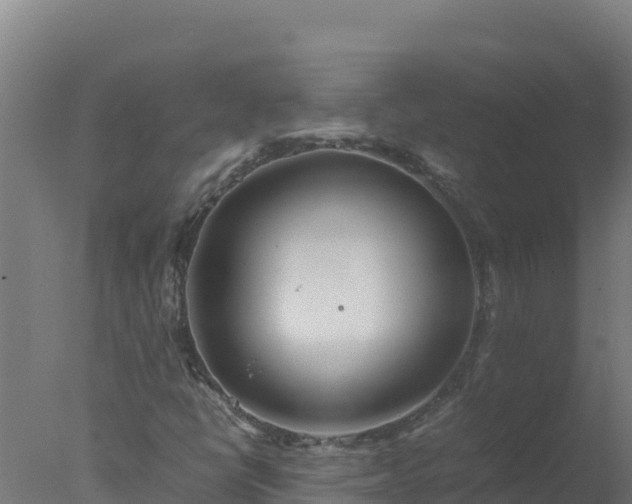 X0000077361398200610271842