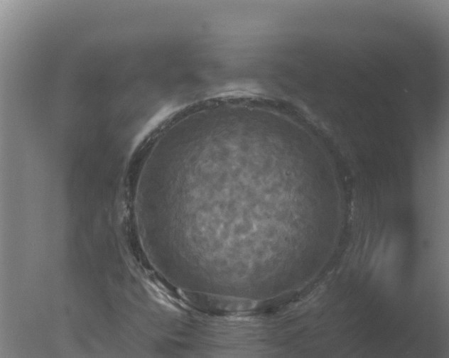 X0000077361400200610271842