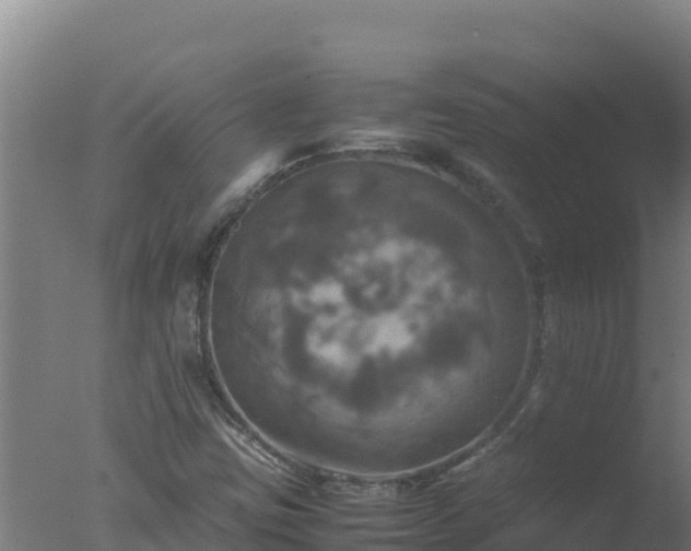 X0000077361403200610271842