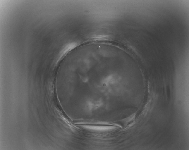 X0000077361405200610271842