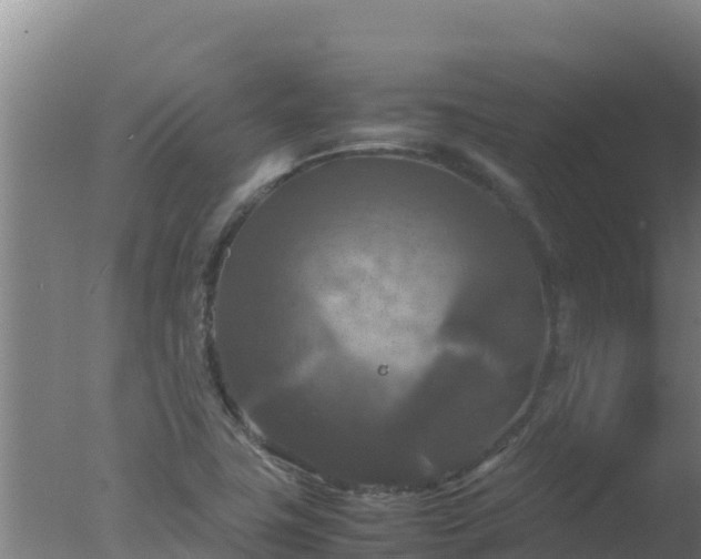 X0000077361411200610271842