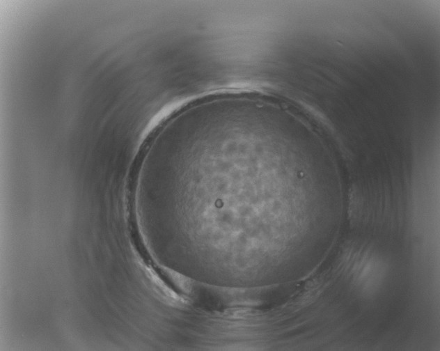 X0000077361412200610271842