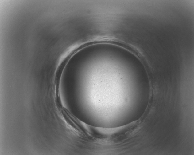 X0000077361414200610271842