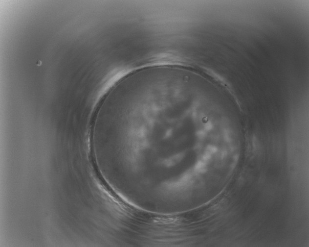 X0000077361415200610271842