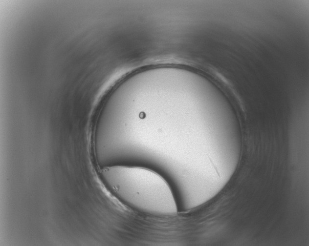 X0000077361416200610271842