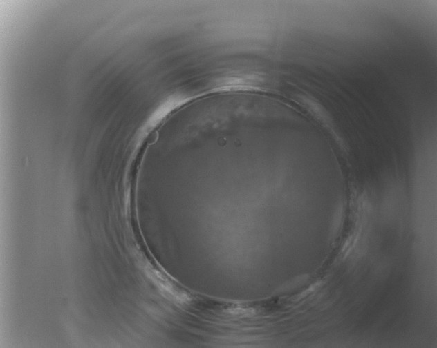 X0000077361419200610271842