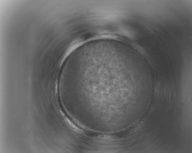 X0000077361420200610271842