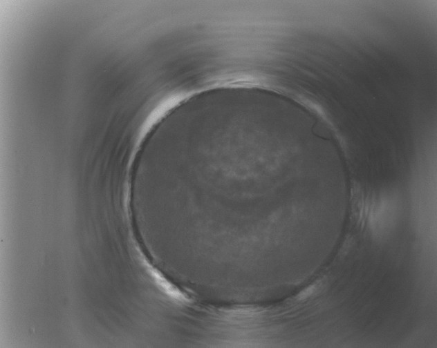 X0000077361424200610271842