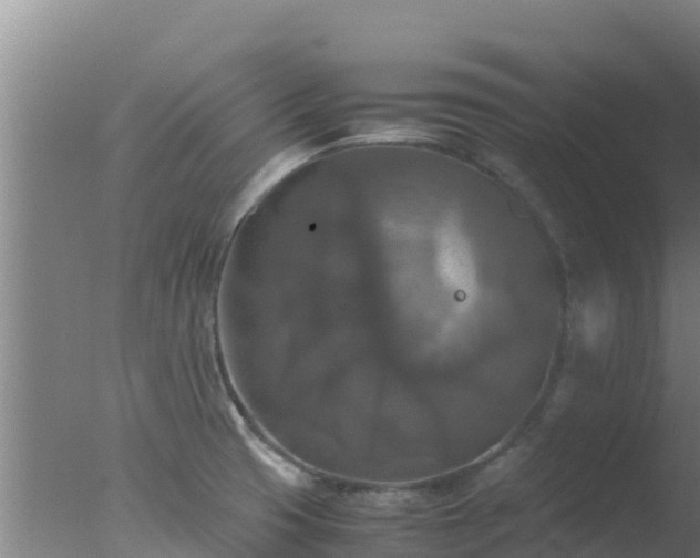 X0000077361425200610271842