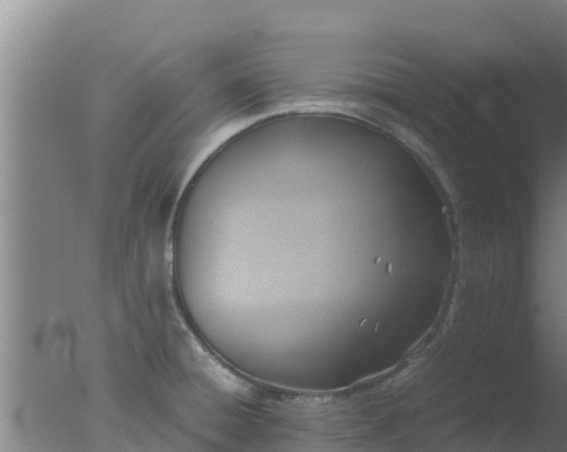 X0000077361428200610271842