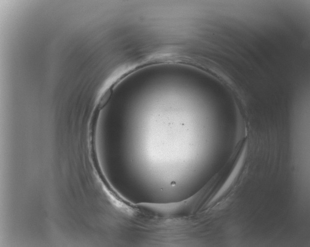 X0000077361430200610271842