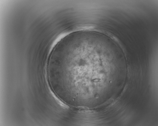 X0000077361432200610271842