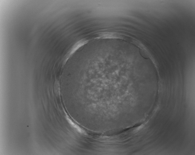 X0000077361433200610271843