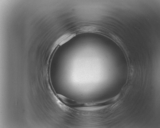 X0000077361434200610271843