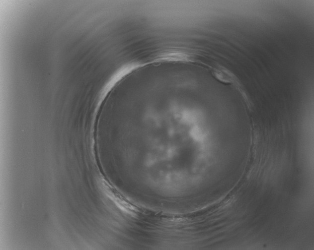 X0000077361435200610271843