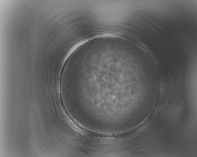 X0000077361436200610271843