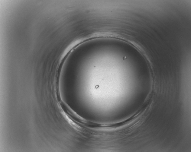 X0000077361438200610271843