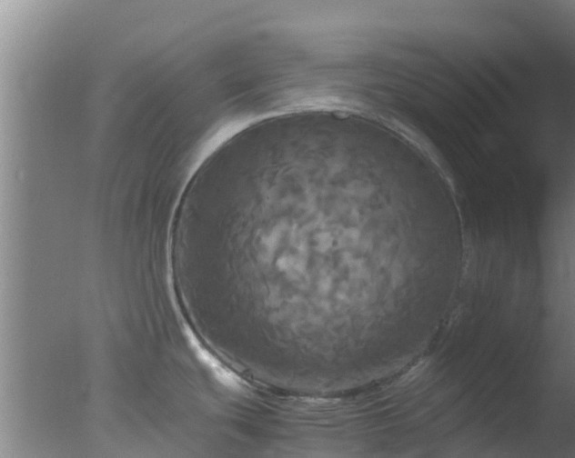 X0000077361439200610271843