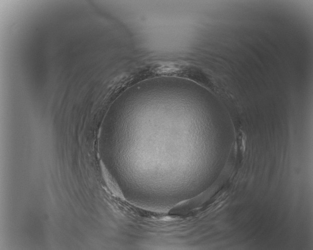 X0000077361441200610271842