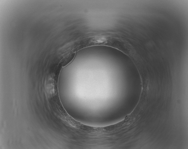 X0000077361442200610271842