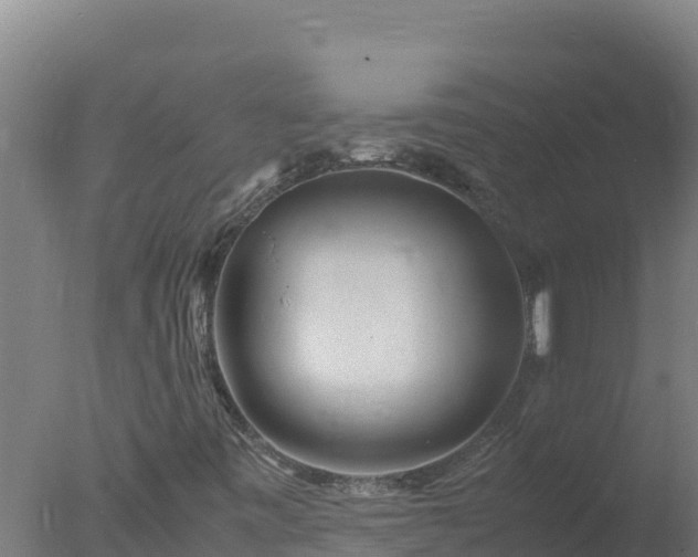 X0000077361443200610271842