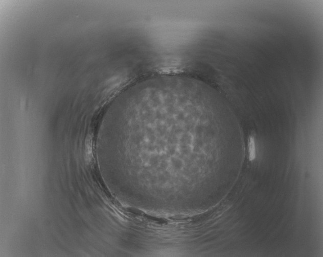 X0000077361444200610271842