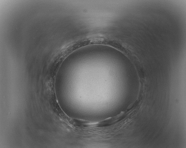 X0000077361445200610271842