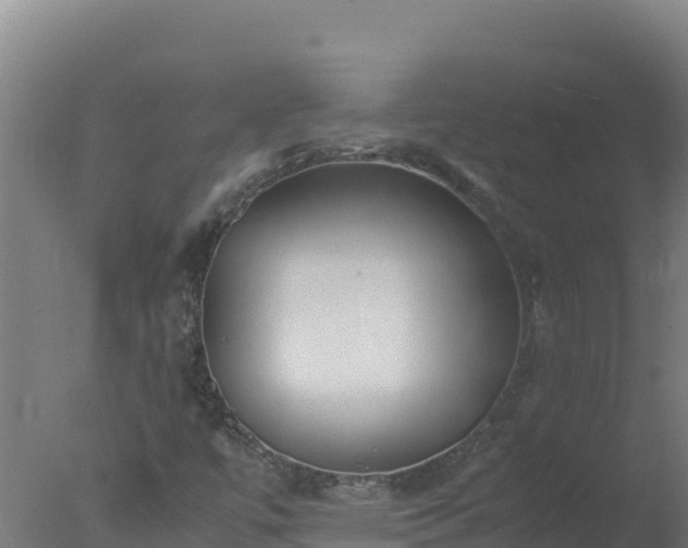 X0000077361447200610271842