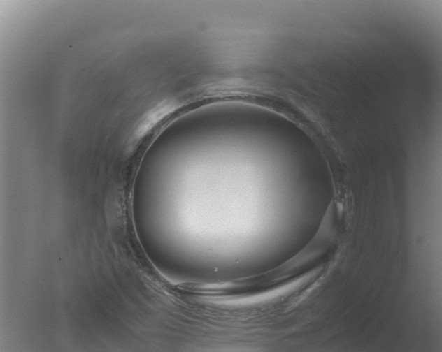 X0000077361453200610271842