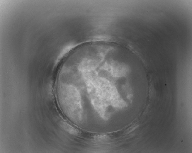 X0000077361454200610271842