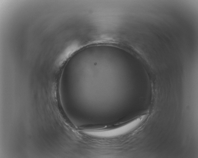 X0000077361455200610271842