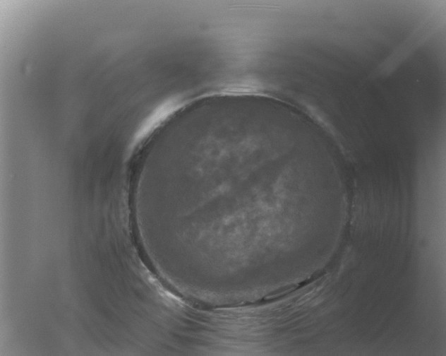 X0000077361456200610271842