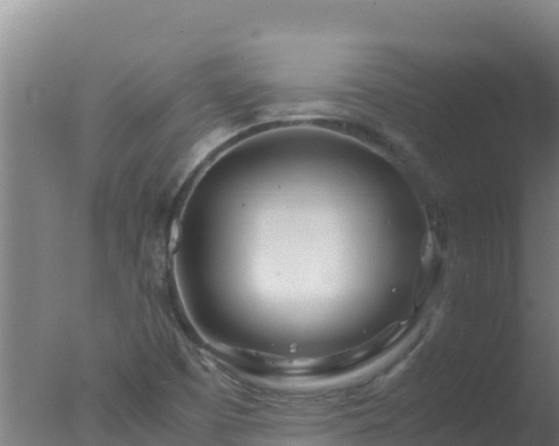 X0000077361457200610271842