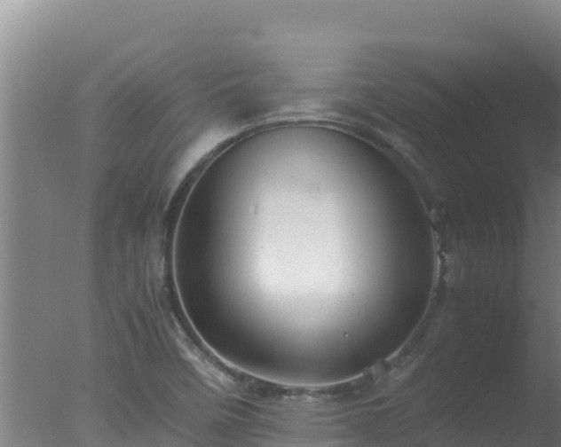 X0000077361458200610271842