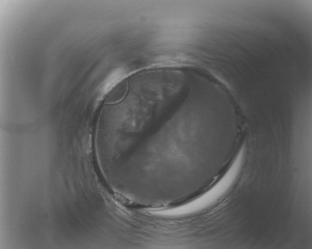 X0000077361459200610271842