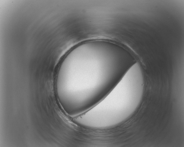 X0000077361460200610271842