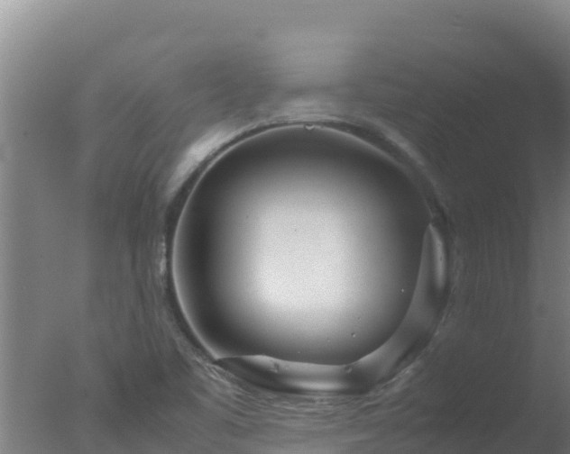 X0000077361461200610271841