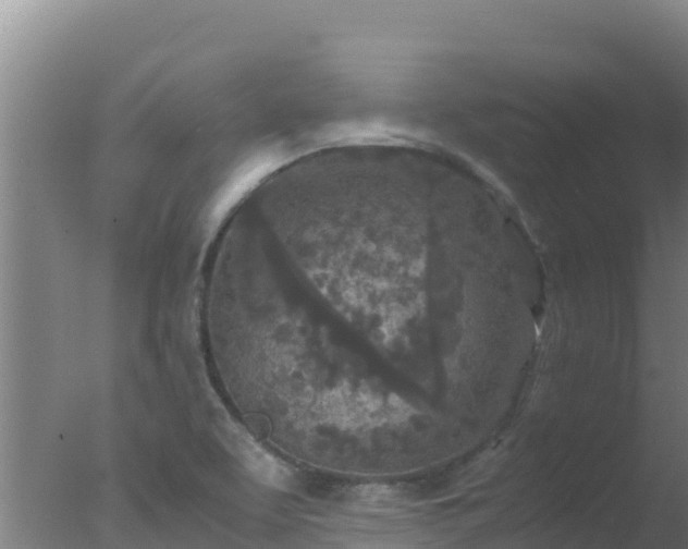 X0000077361463200610271841