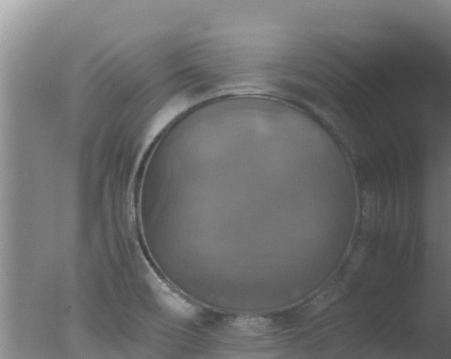 X0000077361466200610271841