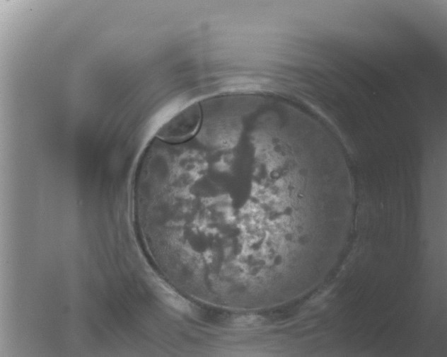 X0000077361467200610271841