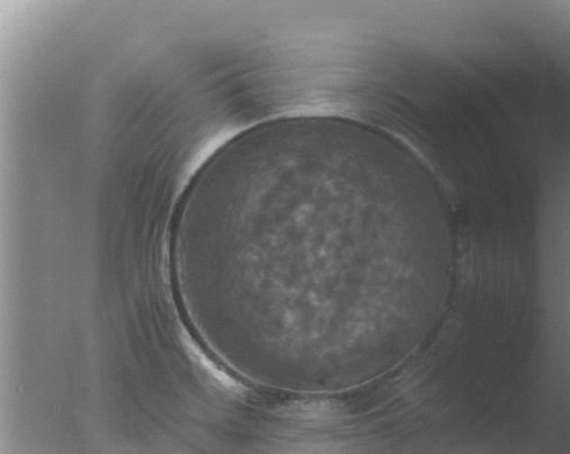 X0000077361468200610271841